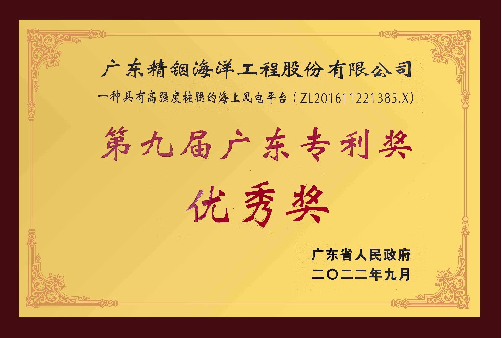 第九屆廣東專(zhuān)利優(yōu)秀獎(jiǎng)