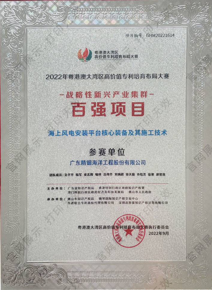 大灣區(qū)專(zhuān)利布局大賽百?gòu)?qiáng)項(xiàng)目